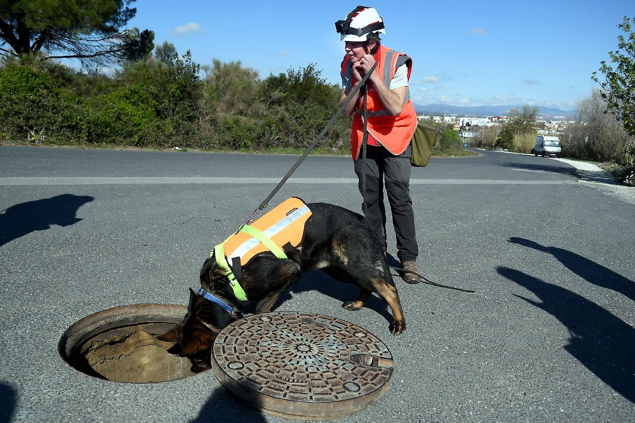 I cani addestrati alla ricerca delle perdite nella rete idrica