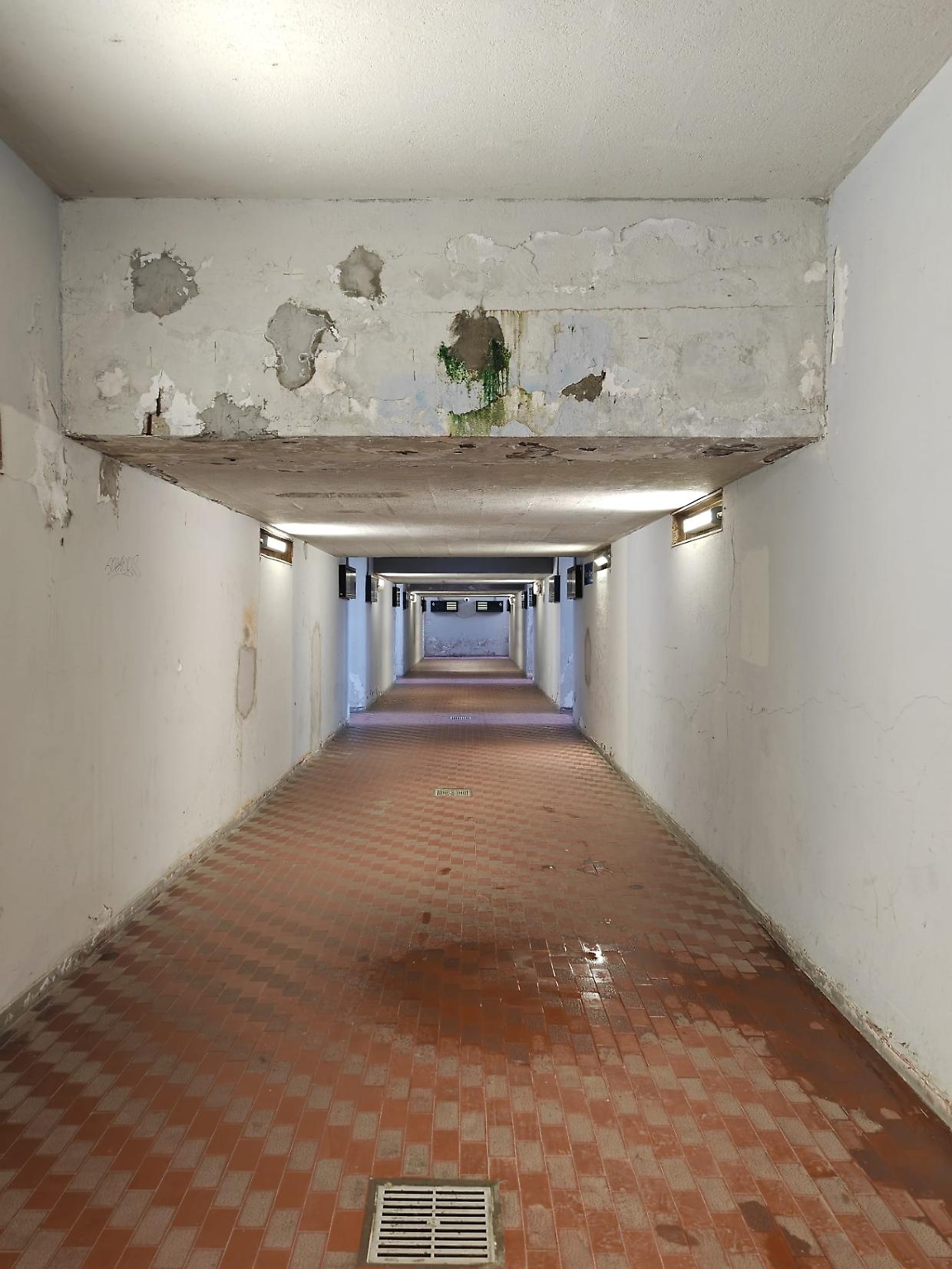 Perdite d'acqua, muffe e calcinacci  alla stazione di Moncalieri