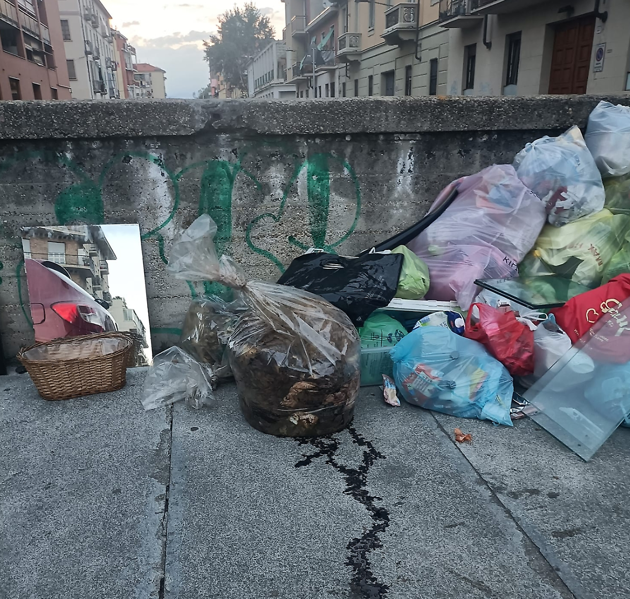 I resti del montone erano in un sacco di plastica trasparente
