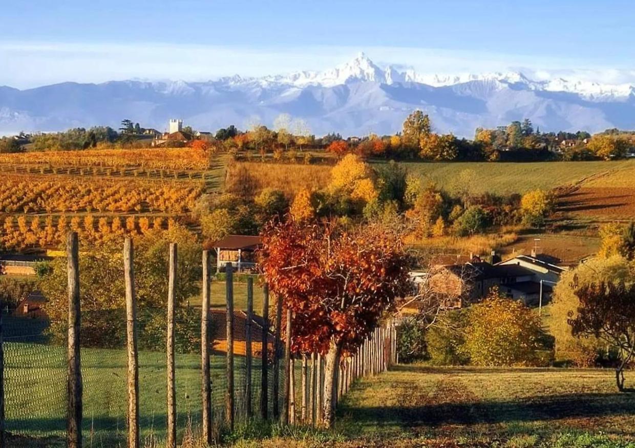 "Vini e calici celesti": un'esperienza unica tra le colline di Chieri