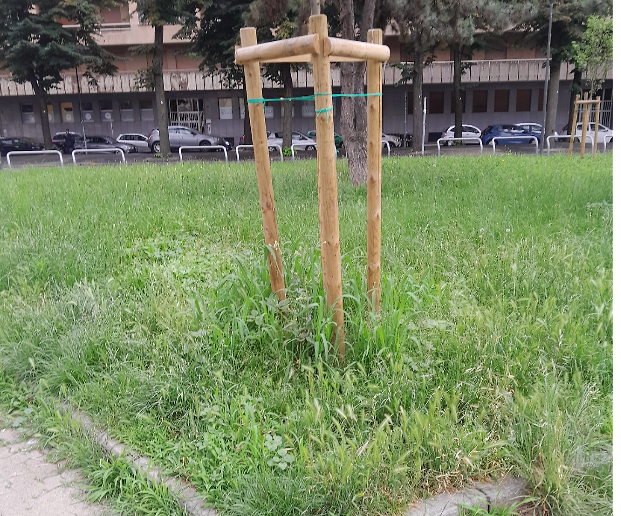 Erba alta e degrado nella piazzetta che ospitava la fontana