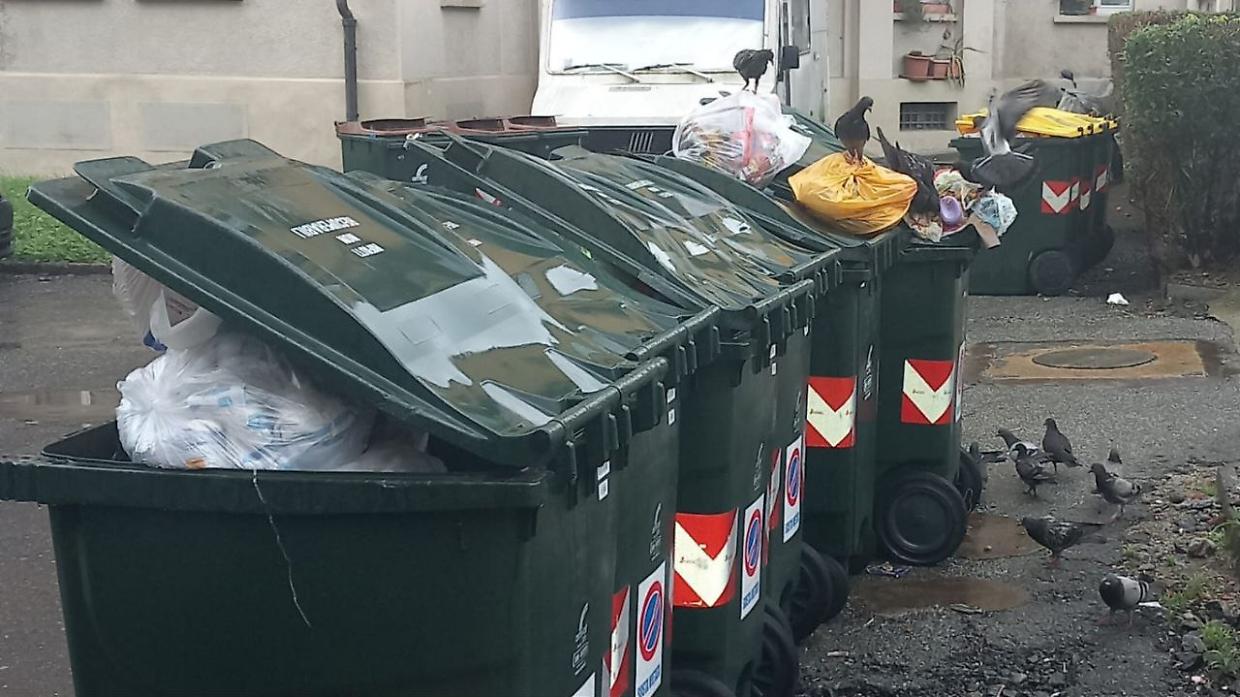 Emergenza piccioni a Borgo Filadelfia, immondizia e feci ovunque: "E qualcuno ha cercato di avvelenarli.."