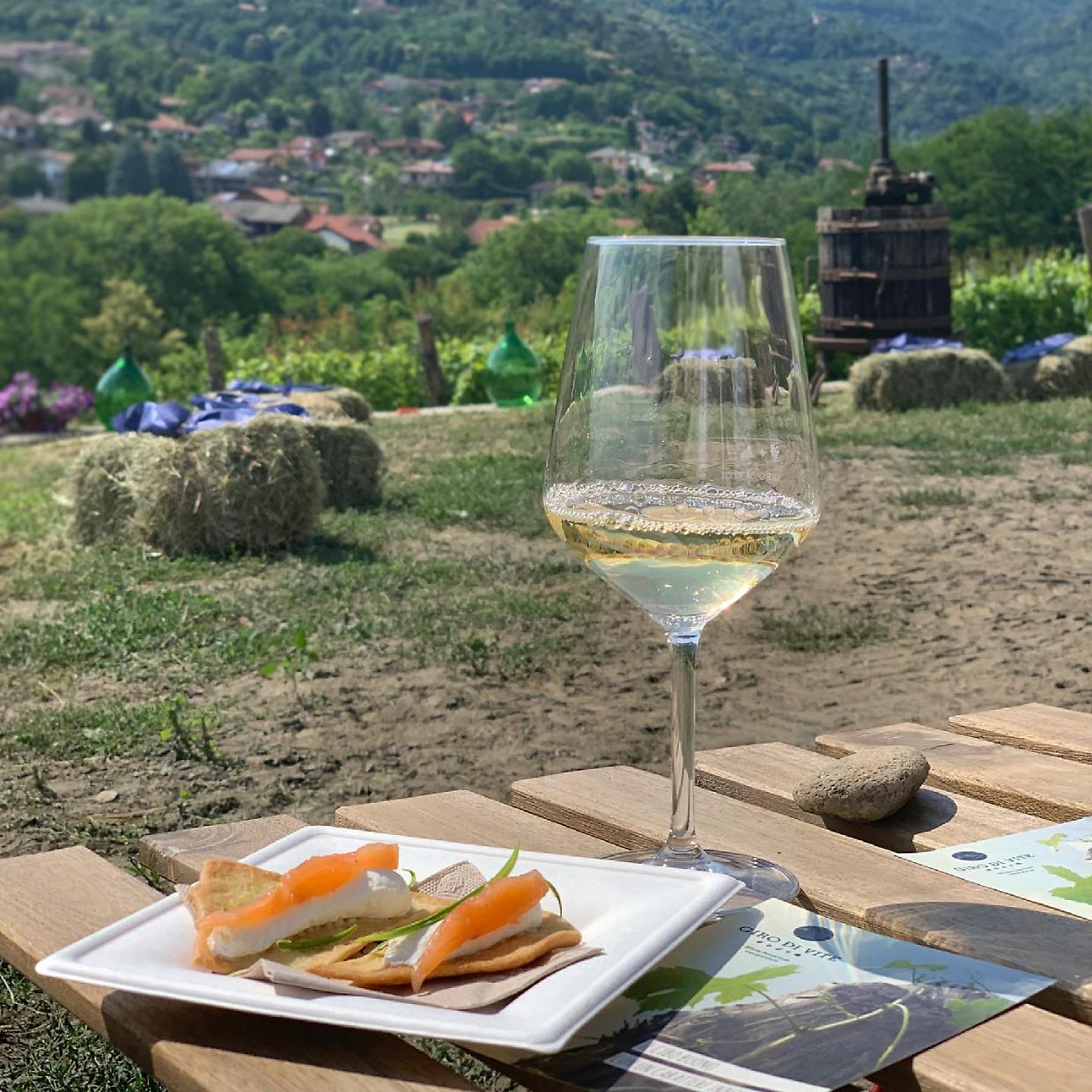  Sulle colline di Pinerolo e di Bricherasio appuntamenti gourmet, tra i filari delle vigne