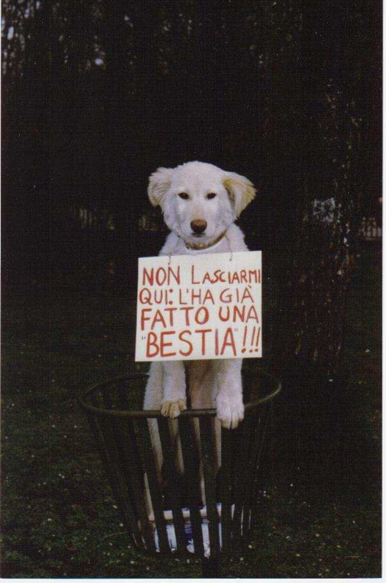 La foto inviata dal nostro Amico Reporter