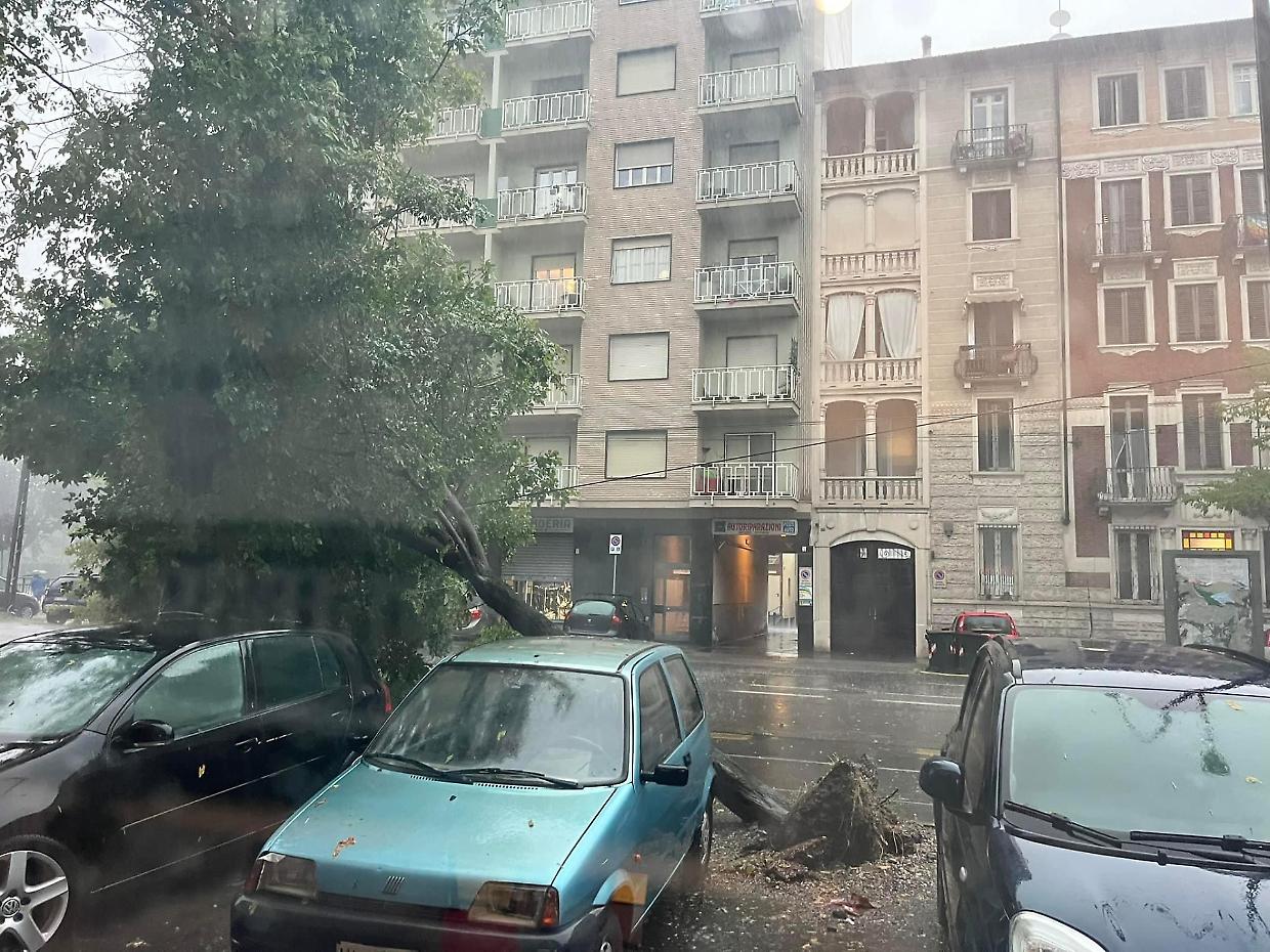 Alberi caduti in corso Belgio 
