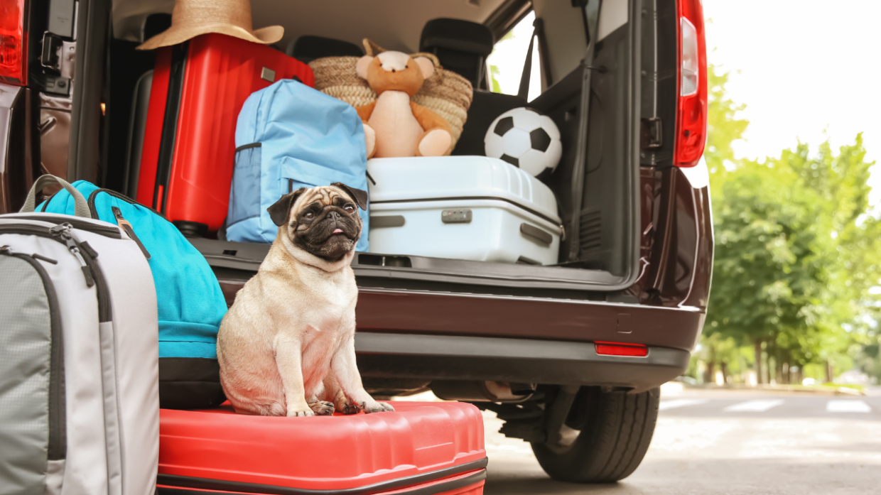 Vacanze Pet-Friendly in Nord Italia: Un Fenomeno in Crescita