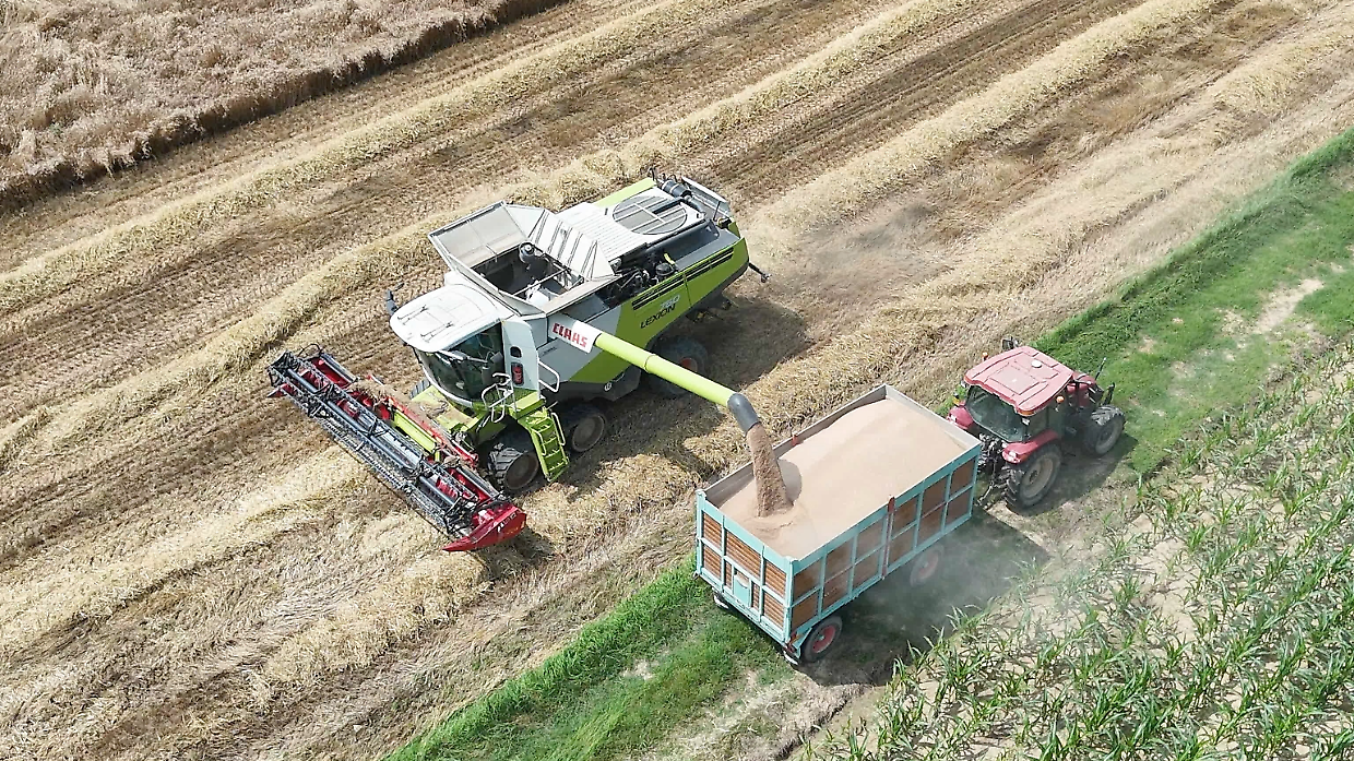 Agricoltura in ginocchio, tra grandine, pioggia e bombe d'acqua  in fumo 5 milioni di euro