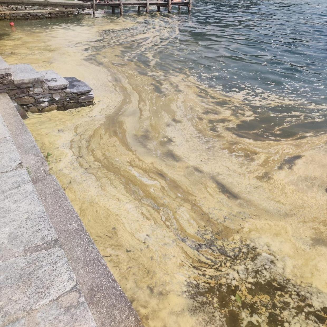 Schiume in prossimità della spiaggia di Ortello (fonte Arpa)