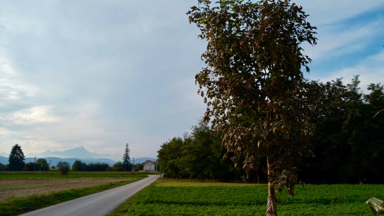 Foto di Federico Mellano - Piemonte sostenibile, ecco i nuovi comuni green