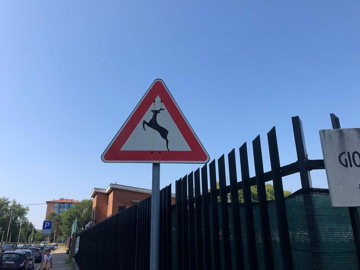 Anche in città spuntano cartelli che avvisano del pericolo di animali selvatici