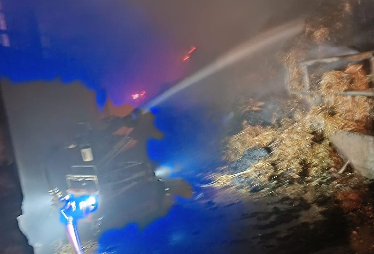 I vigili del fuoco