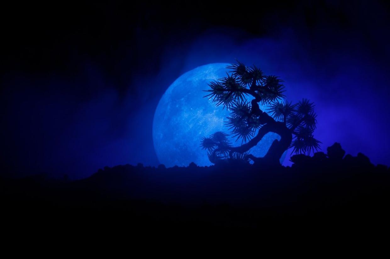 Stasera la Superluna blu: uno spettacolo  da non perdere