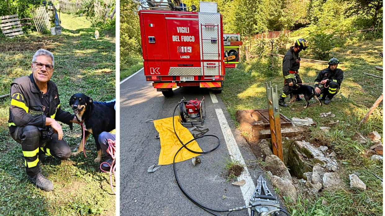Coassolo, cane incastrato in un canale sotterraneo salvato dai vigili del fuoco