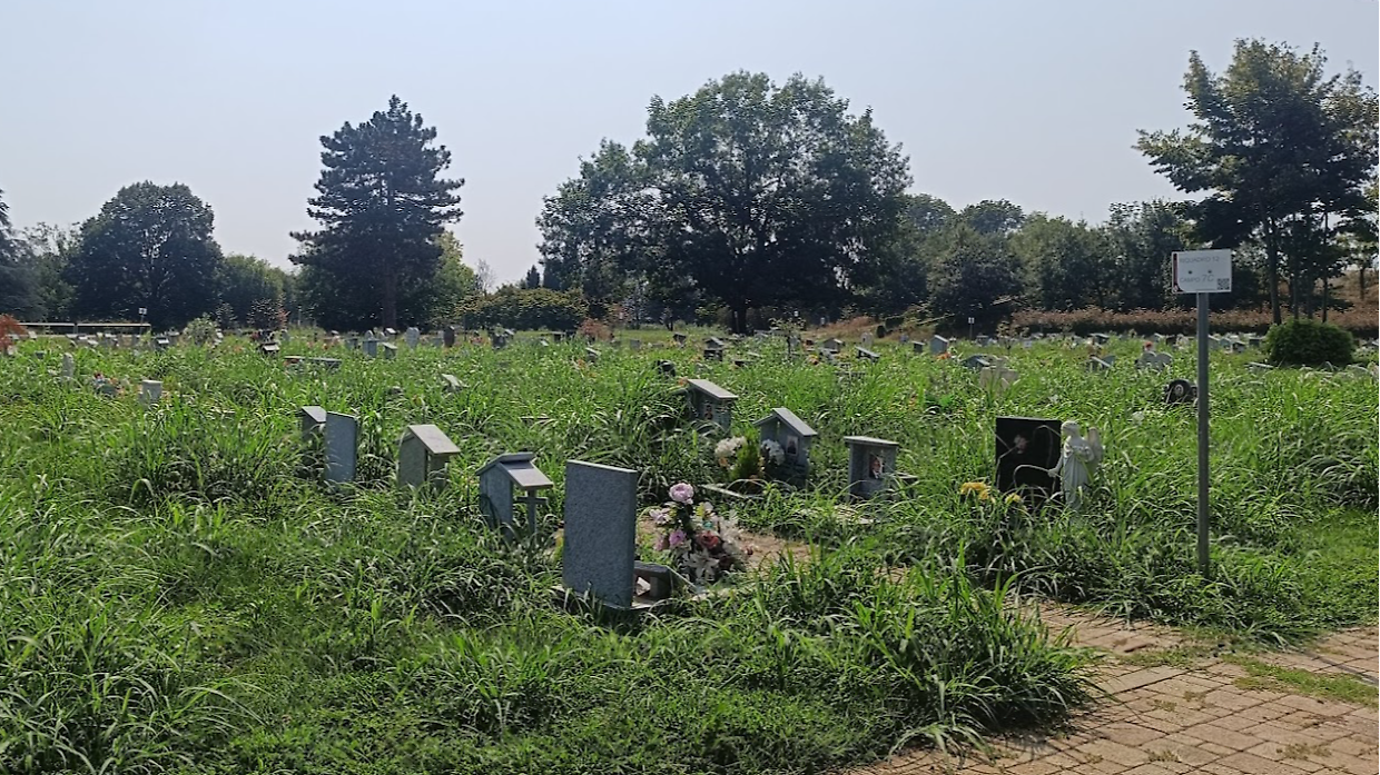 Alberi crollati e tombini otturati: «Quel cimitero è in pessime condizioni»