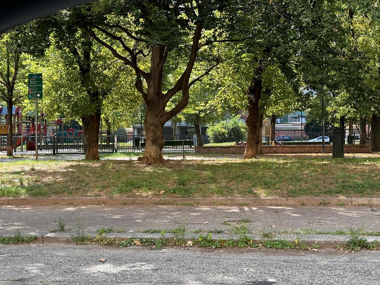 Bivacchi ai giardinetti: «Più passaggi da parte della municipale»