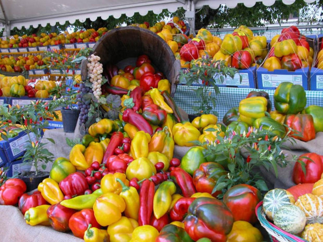 Carmagnola in festa: 75 anni di sapore, tradizione e spettacolo con il Re Peperone