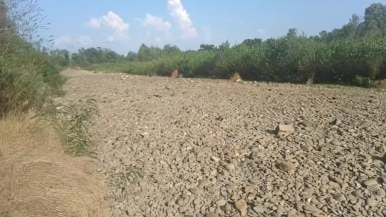 Le impressionanti foto del torrente privo di acqua tra Rivalta e Orbassano