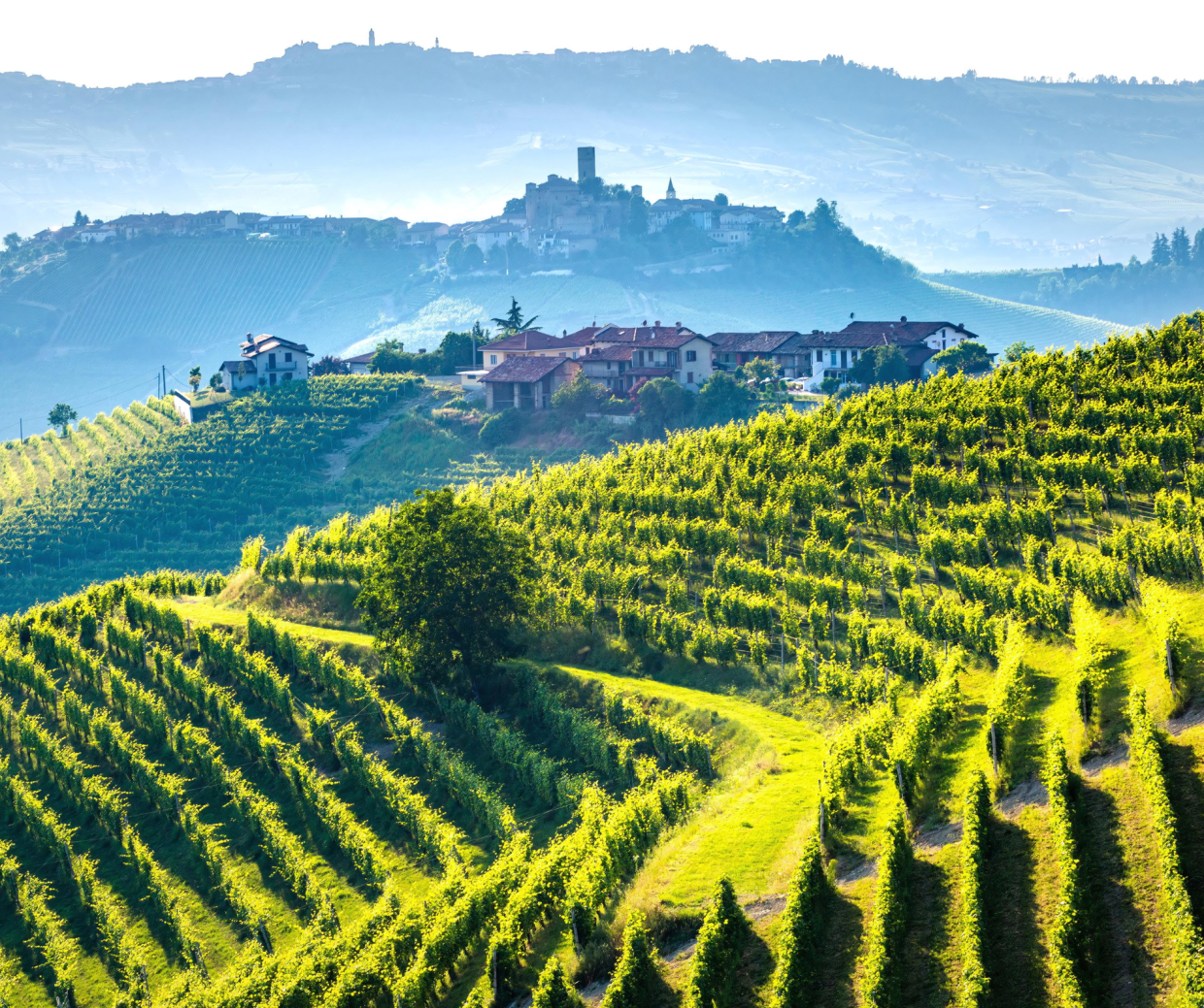 Langhe, rischio ovetourism: ecco perché