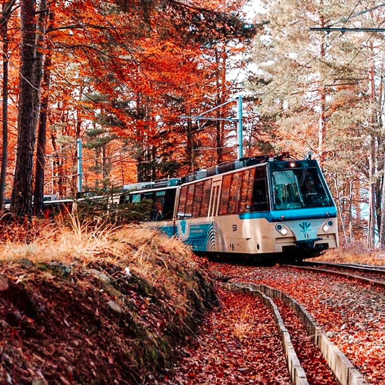 Il pittoresco treno del foliage (fonte Instagram)