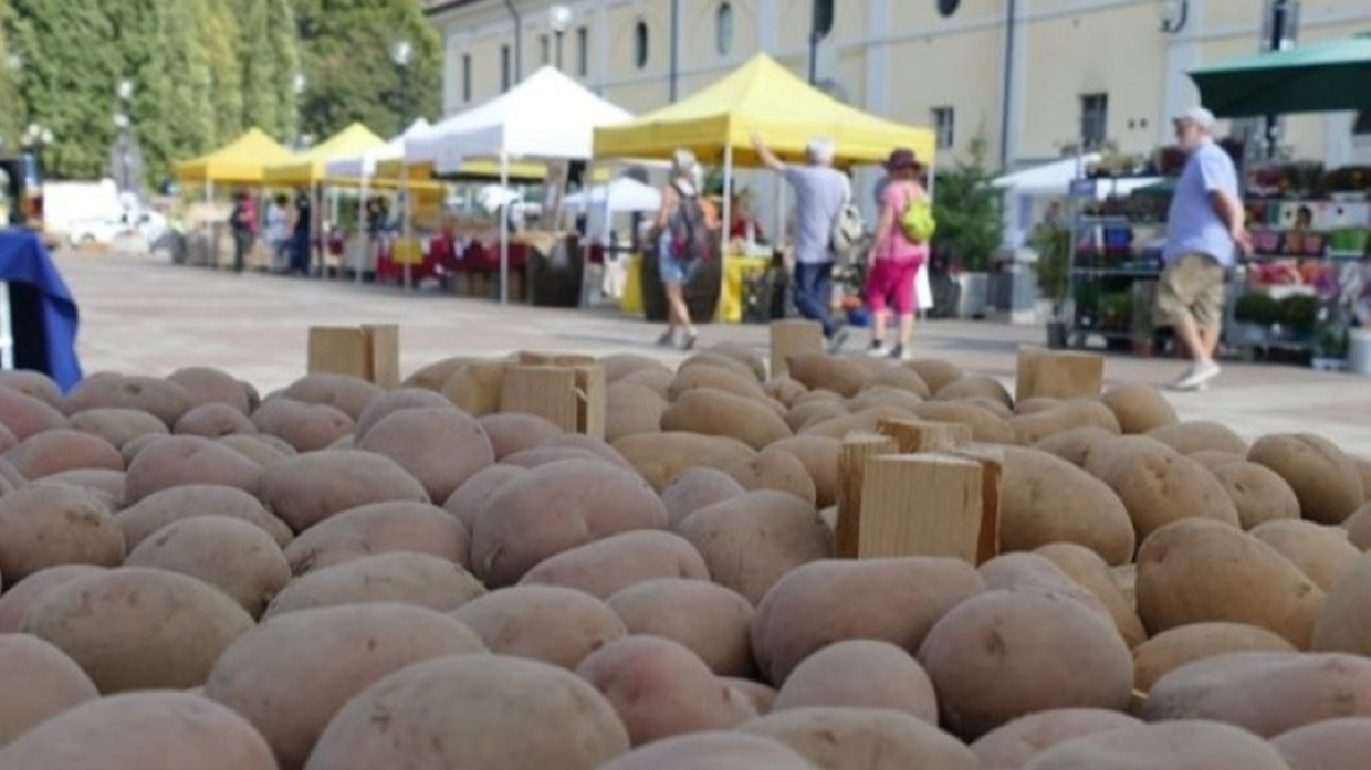 Sagra della Patata 2024 a Villastellone: Un Weekend di Tradizione e Gusto
