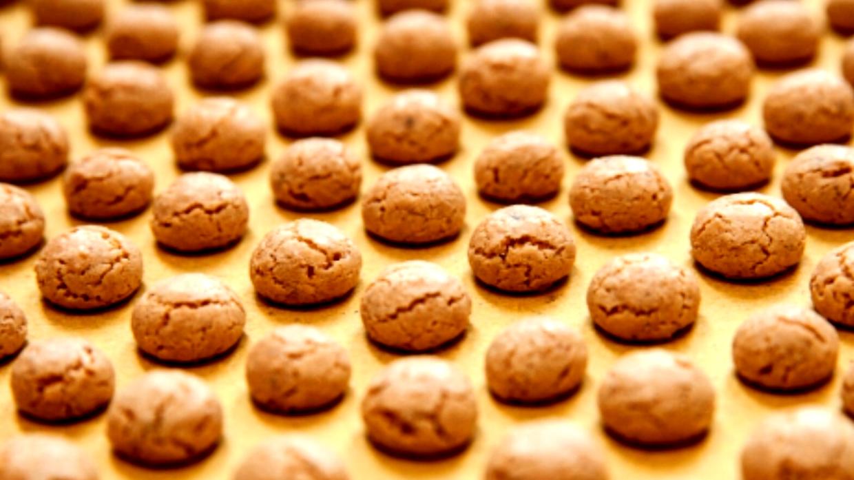 Il dolce è piccolo ma la festa è grande: Chivasso celebra il "suo" Nocciolino 