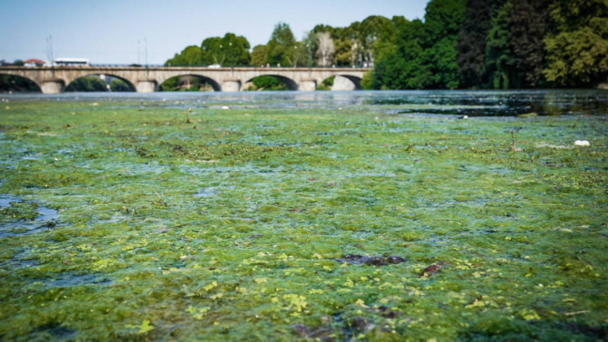 Trash Challenge 2024: Torino si mobilita per ripulire il Po
