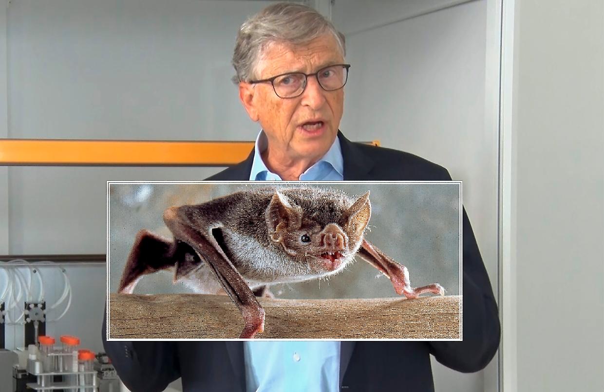 Bill Gates