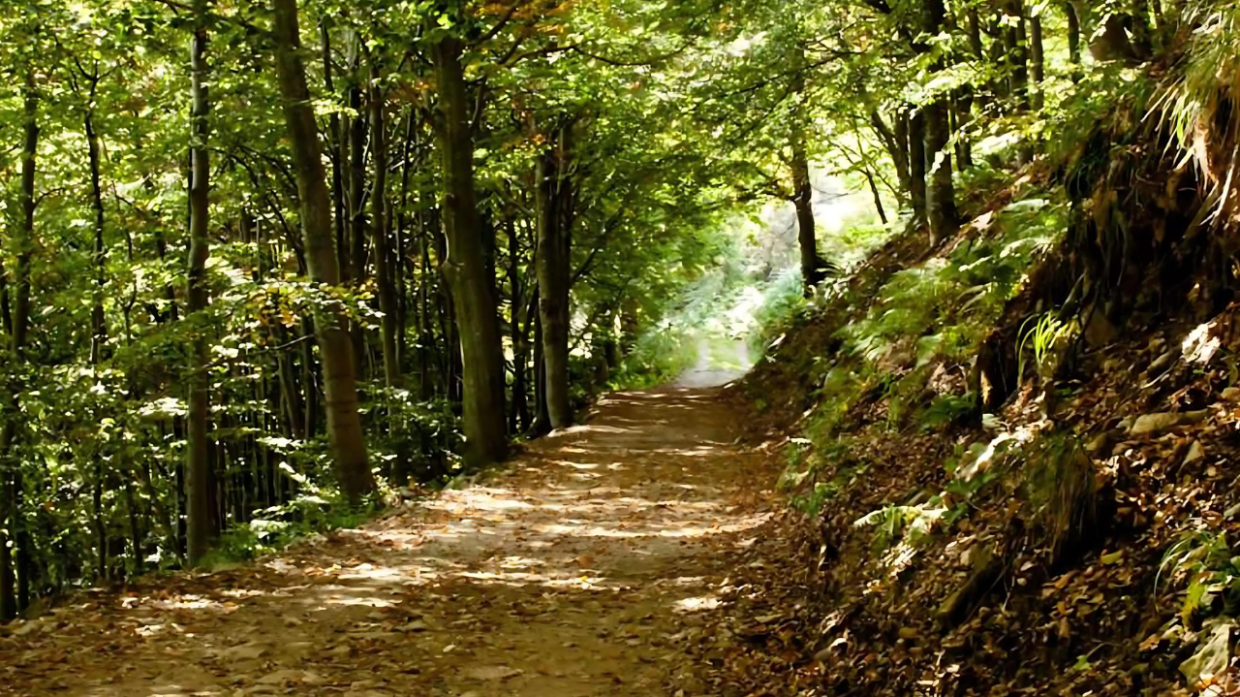 Alla scoperta del Parco Leopardi: un'oasi verde nel cuore di Torino