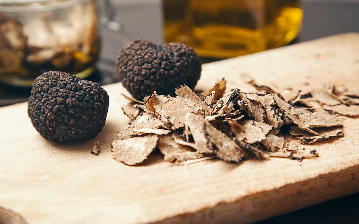 La rinascita della fiera del tartufo nero: un viaggio tra tradizione e innovazione