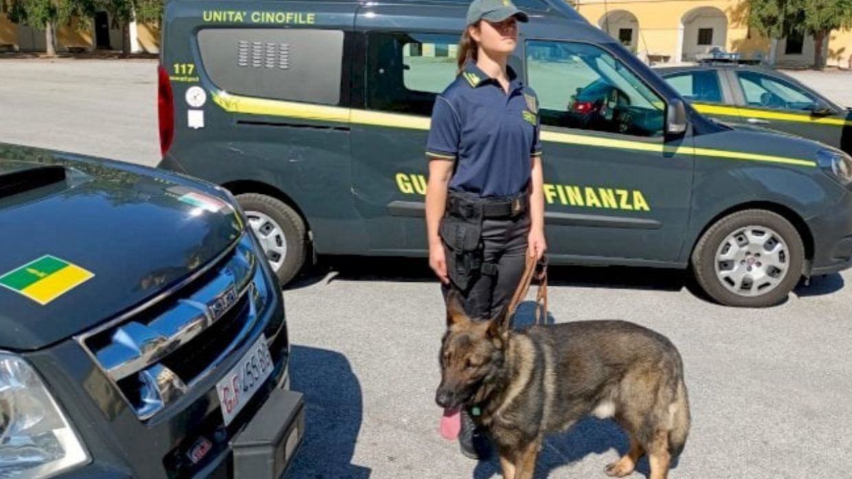 Arresto a Cuneo: Sequestrati 700 grammi di Hashish e Crack in Auto