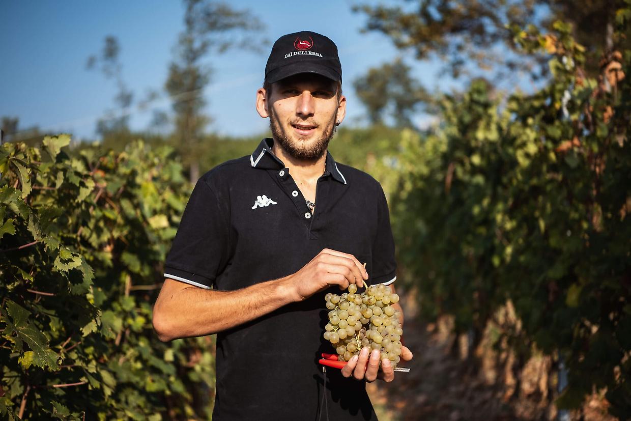 Il vino Doc Freisa Brigit Neir 2022 della cantina Dellerba ha ottenuto il massimo riconoscimento