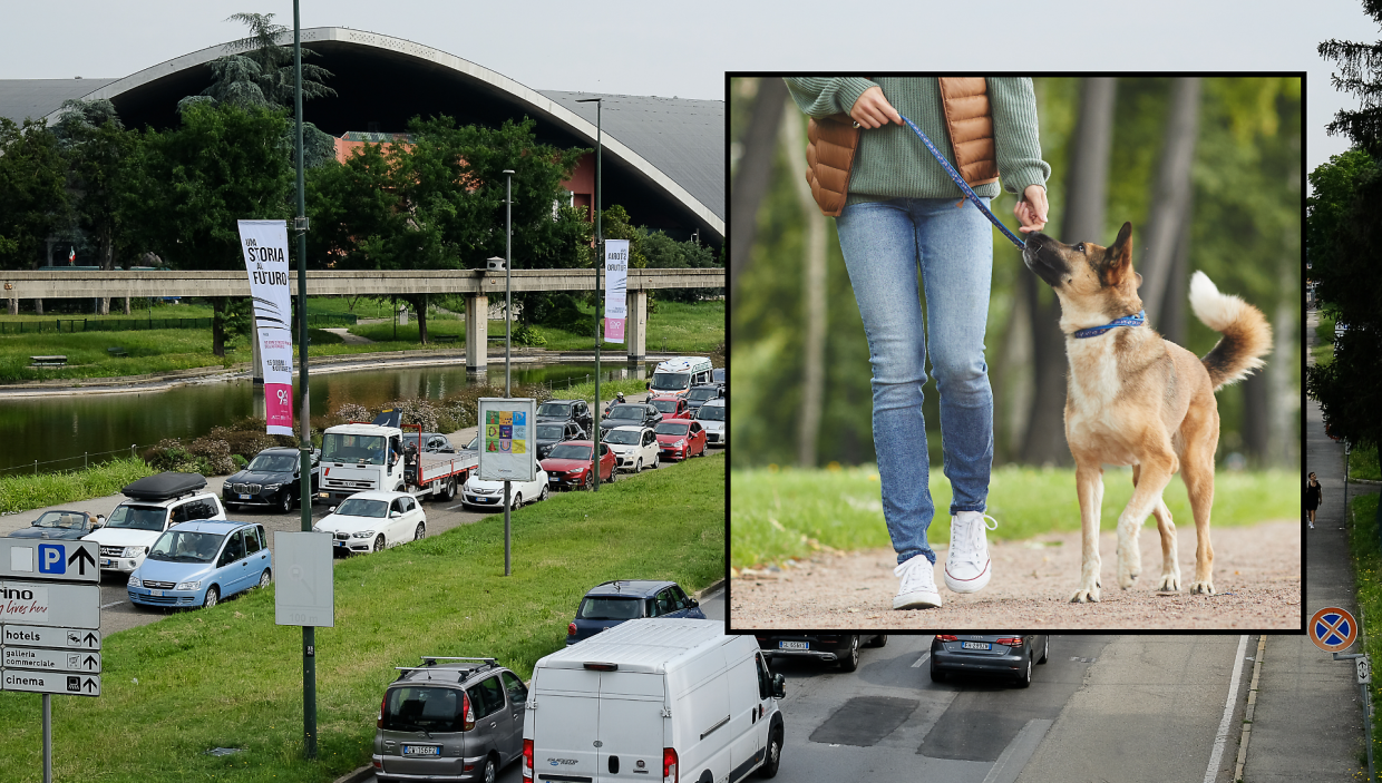 «Mi hanno picchiata mentre portavo fuori il cane»: una ragazza di 20 anni racconta il suo incubo
