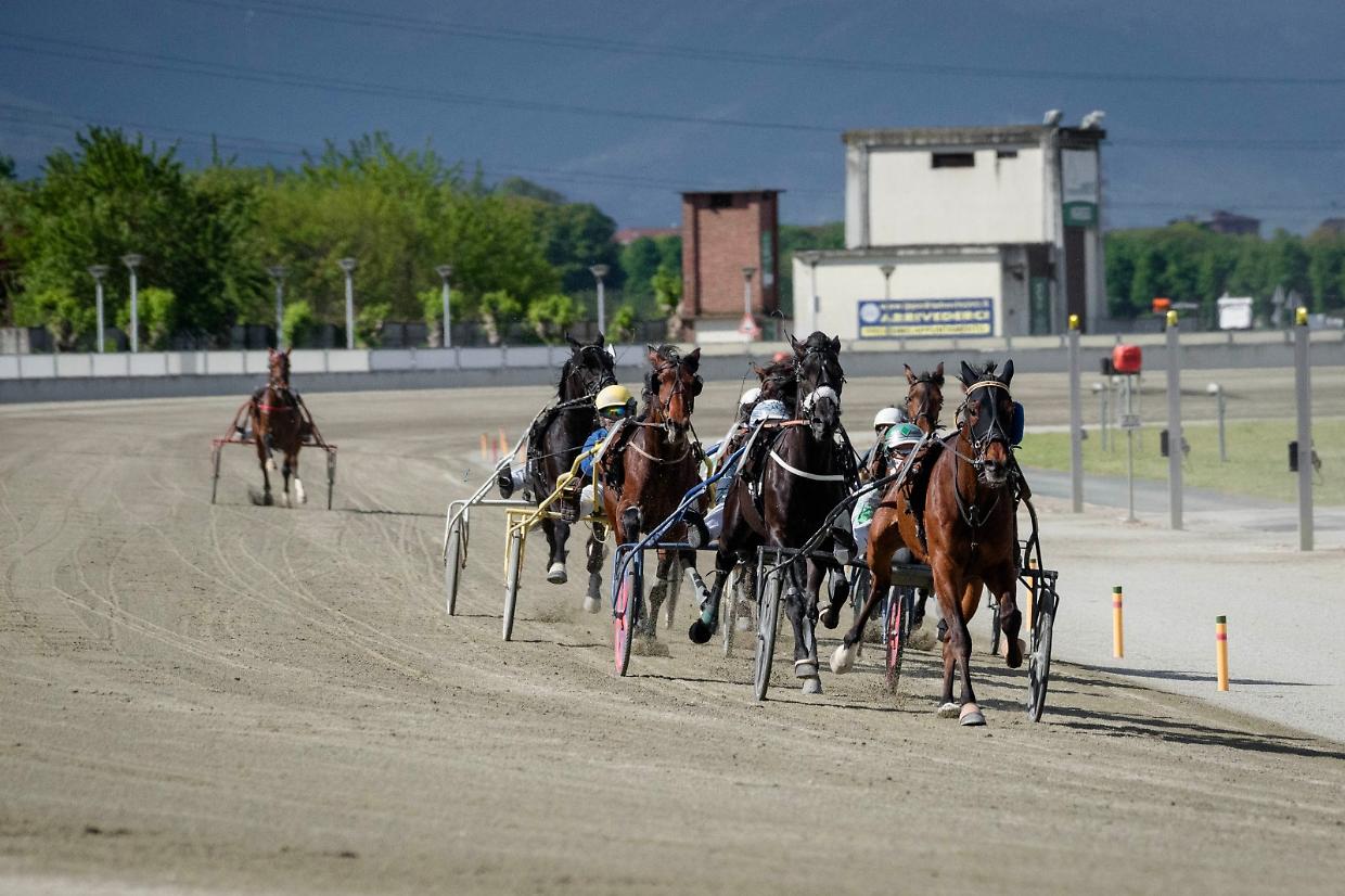 Flash Rouge torna in pista, Guardami al debutto: all'ippodromo di Vinovo un mercoledì all'insegna delle novità
