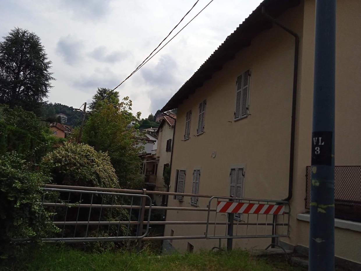 Vegetazione fuori controllo: «Ma è colpa della Regione»