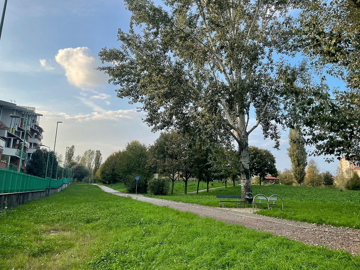 Via ai lavori nel parco Calabria, l’area giochi riaprirà nel 2025