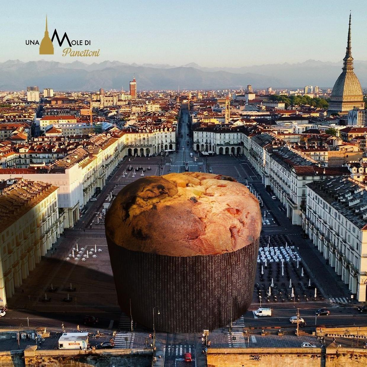 Un panettone gigante...in piazza Vittorio (Fonte Instagram @UnaMoleDi)