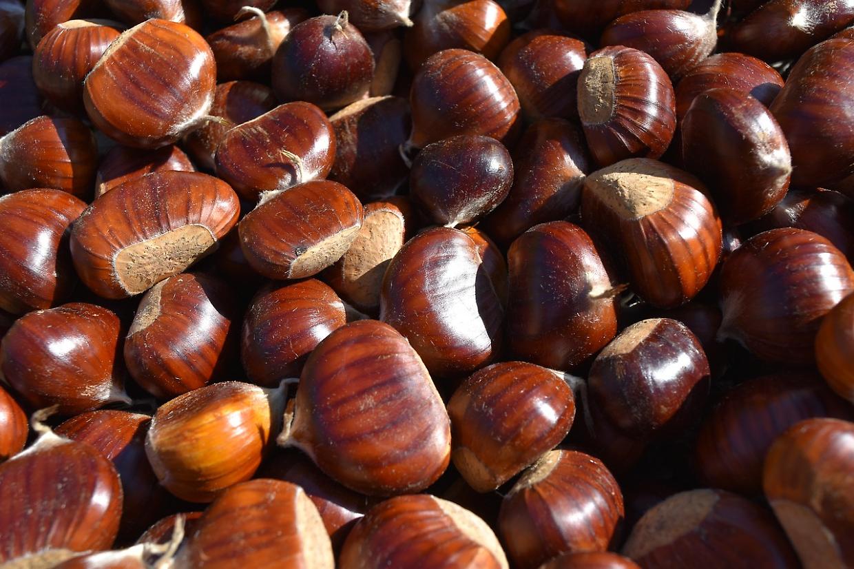 La bontà delle castagne