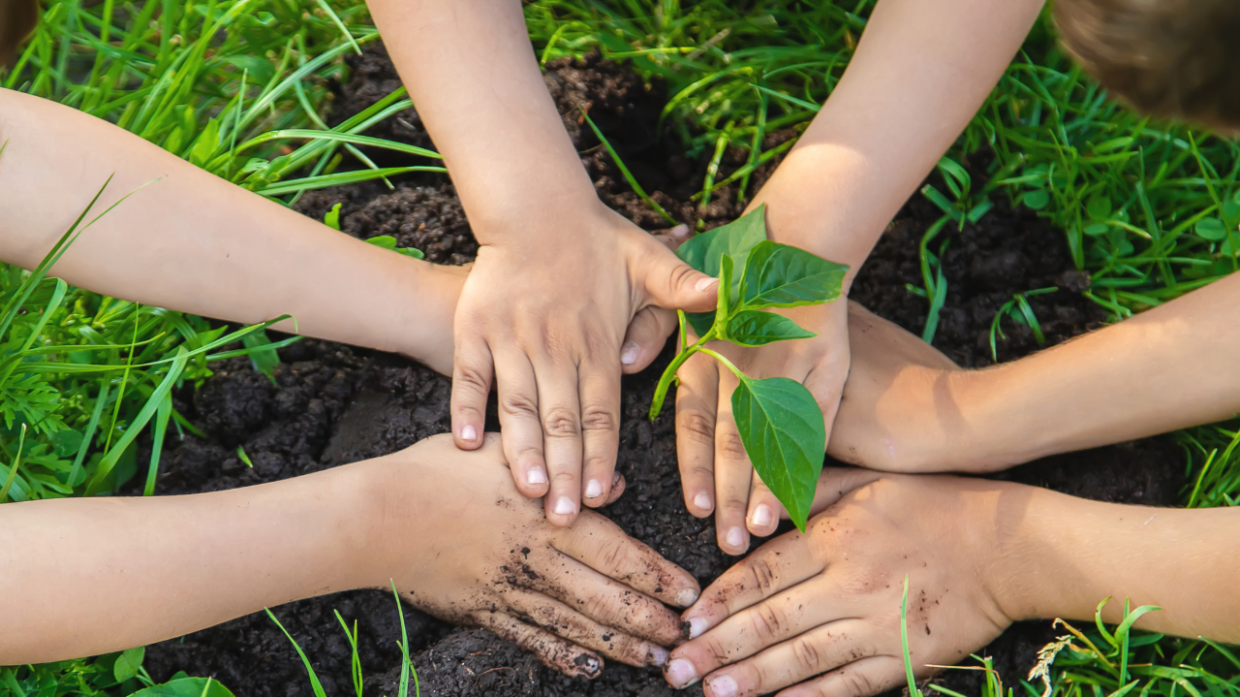 Serravalle: 122 alberi per far nascere il "bosco delle scuole"