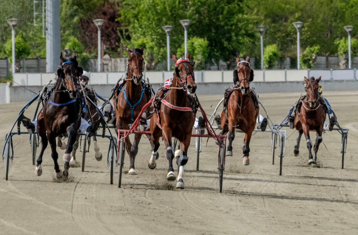 Big italiani e campioni francesi: scintille in vista al “Gp Orsi Mangelli”
