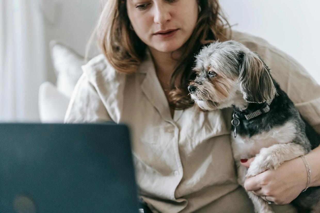 Adottare un cane sui social: quando un post ti cambia la vita