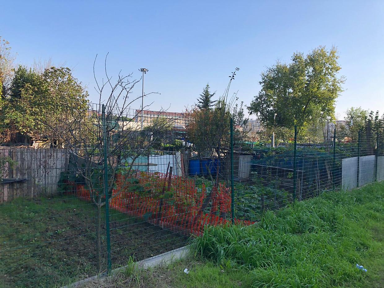 Dall’ex bocciofila agli orti abusivi, tutti i dilemmi di corso Caio Plinio