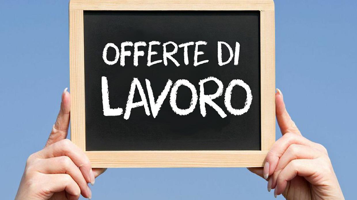 Black Friday e Natale portano 800 posti di lavoro in Piemonte: ecco come candidarsi