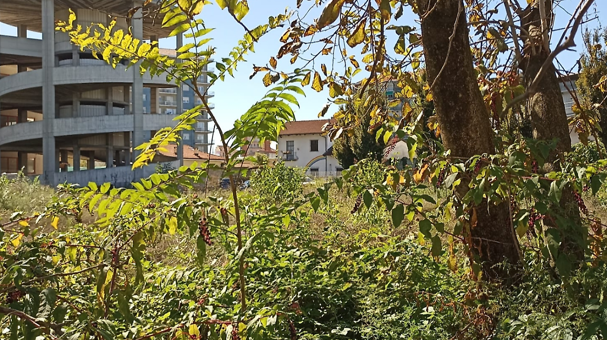 Nessuno vuole comprare il terreno dell’ex ecomostro, ora si pensa all’affitto