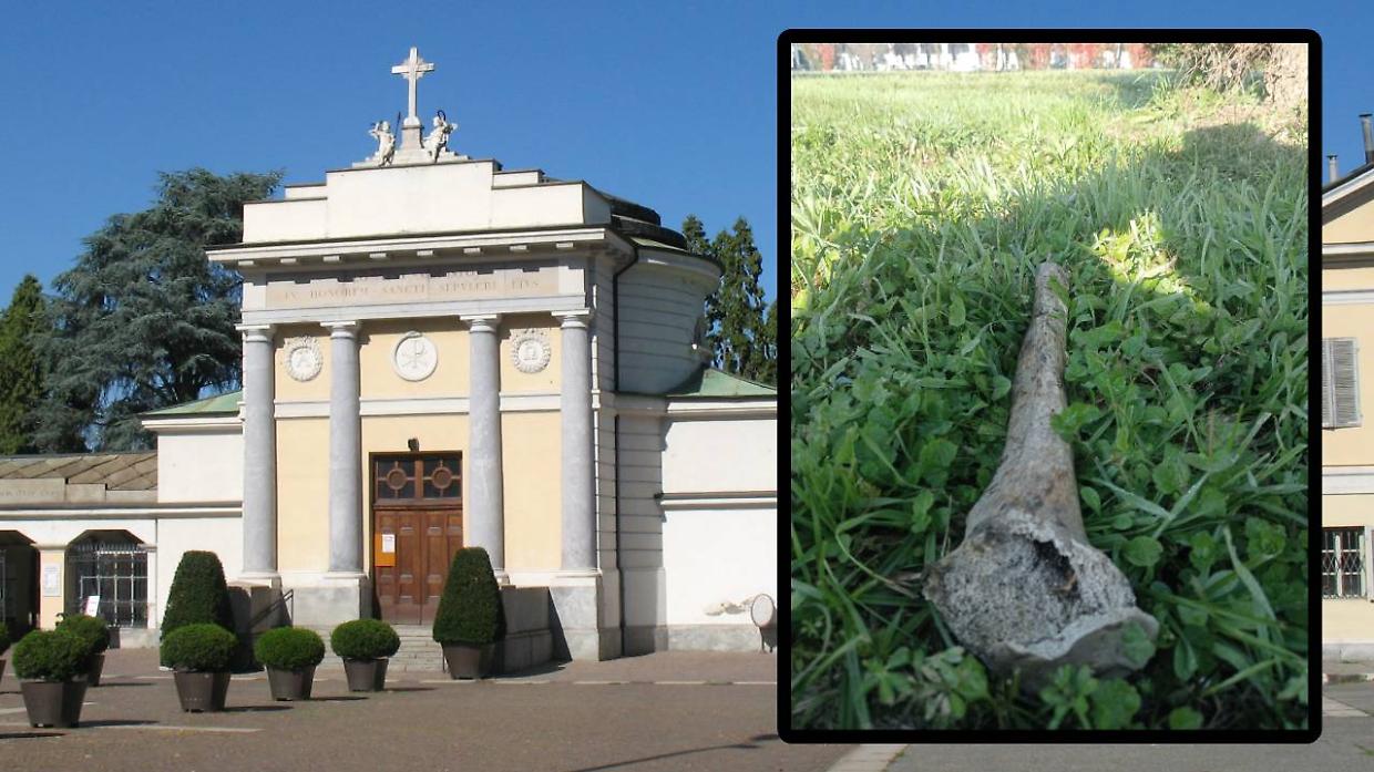 Un osso, con ogni probabilità una tibia, è stato ritrovato nel prato del Monumentale