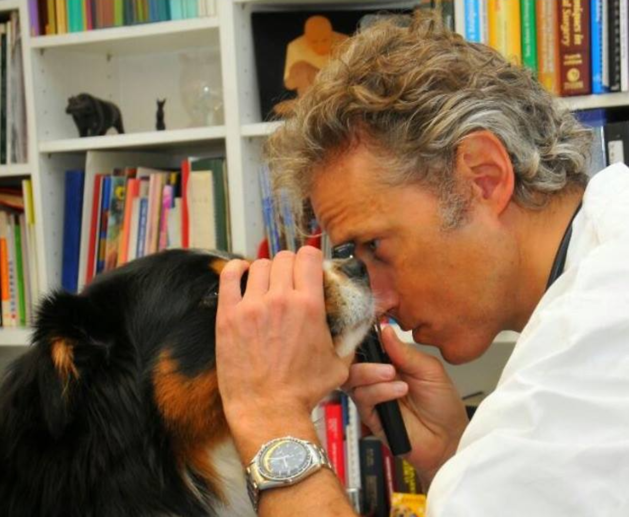 Luca Ferrero era il veterinario dei Vip di Torino