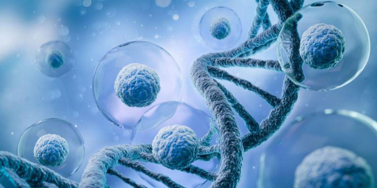 Malattia di von Hippel-Lindau: il nemico silenzioso che minaccia la vita