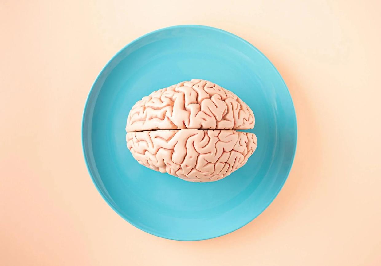 Decifrare il cervello: la nuova sfida di neuroscienze e AI