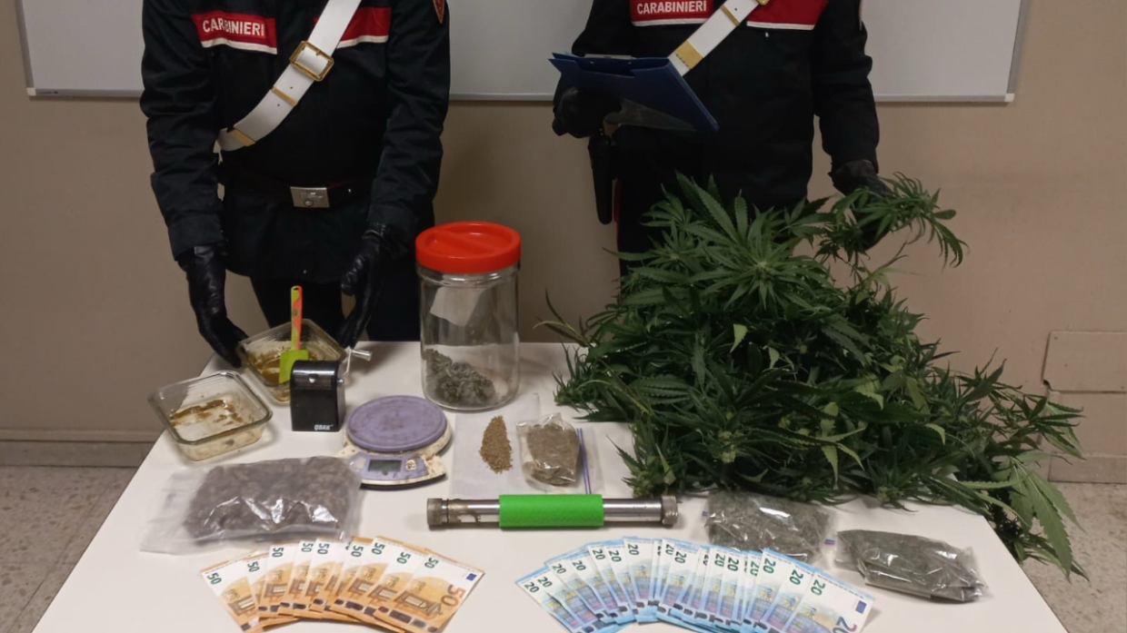 Vistrorio, scoperta una piantagione di marijuana in abitazione: era tutto pronto per la produzione e lo spaccio 