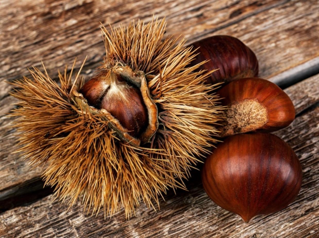 Castagne, cibo per “poveri”ma con il ricco Monte Bianco