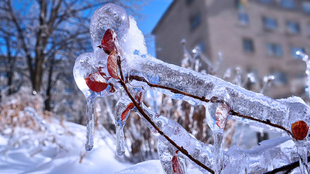 Meteo, gelicidio su Piemonte e Valle d'Aosta: strade chiuse. E per l'Immacolata...